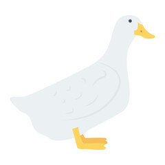 duck