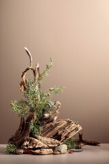 North nature scene with a composition of juniper, stones, and dry snags.