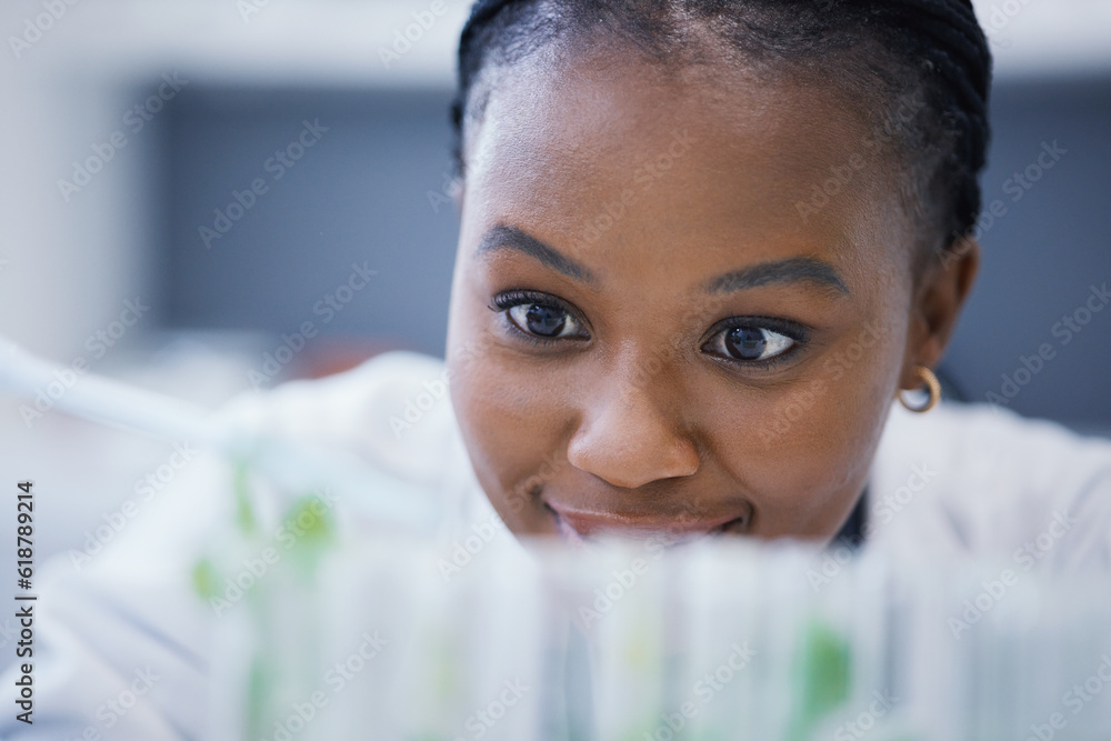 Canvas Prints Research, black woman or scientist with plants in test tubes for analysis, sustainability or leaf growth. Science blur, studying biotechnology or ecology expert in a laboratory for agro development