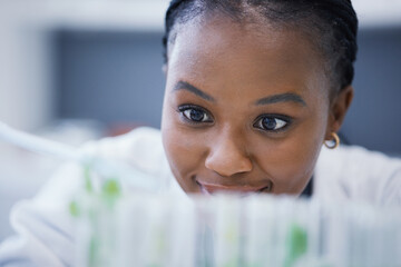 Research, black woman or scientist with plants in test tubes for analysis, sustainability or leaf...
