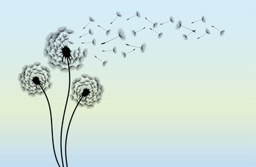 Wildflower dandelion in a vector style isolated. Vector flower for background, texture, wrapper pattern, frame or border.