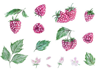 Raspberrys