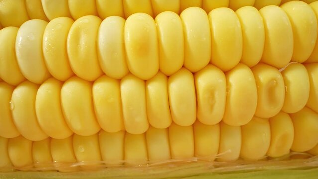 A mesmerizing macro video showcases sweetcorn up close, captured with a probe lens. Witness the intricate details of each golden kernel as it bursts with sweetness and texture, a sensory delight
