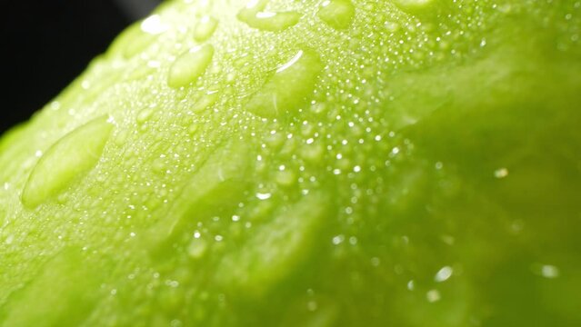 A mesmerizing macro video captures the essence of a wax gourd, adorned with delicate droplets of water. The probe lens reveals intricate details, showcasing nature's beauty in a captivating
