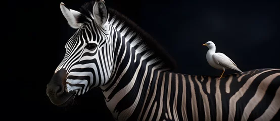 Papier Peint photo Zèbre the two zebras are looking at the photographer Generated by AI