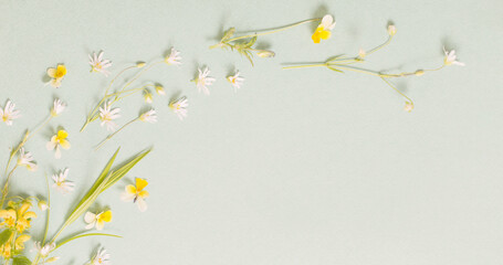 wild flowers on paper background