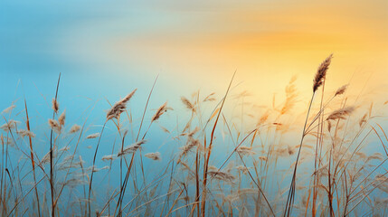 Sunset with Grass