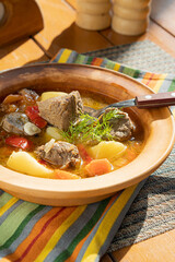 Meat soup with vegetables on a sunny day