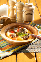 Meat soup with vegetables on a sunny day