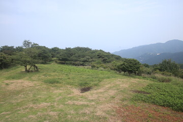 伊東市　風景