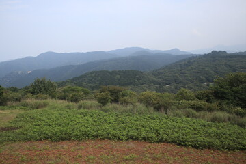 伊東市　風景