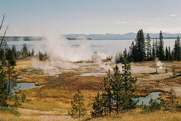 Viaje al parque de Yellowstone en Estados Unidos, fotos analógicas disparadas con una Canon A1 y...
