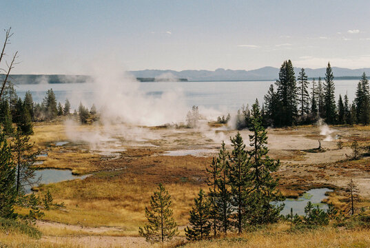 Viaje al parque de Yellowstone en Estados Unidos, fotos anal&oacute;gicas disparadas con una Canon A1 y film kodak gold 200