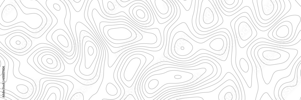Poster light topographic topo contour map background. geographic abstract grid. vector illustration