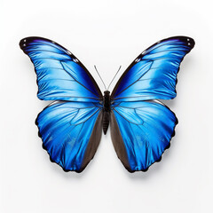 Blue morph butterfly (Morpho peleides). Generative ai.
