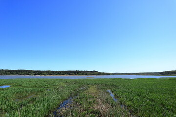 Fototapeta premium Hjälstaviken nature reserve. Landscape photo, water or lake far away. Green summer day. Sweden, 2023.