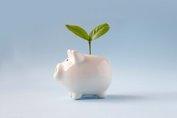 Piggy bank with growing plant on top. Conceptual financial growth still life.