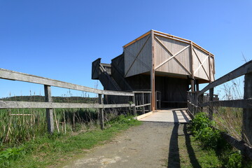 Bird watching tower in wood. Blue sky. Hjälstaviken, Sweden.