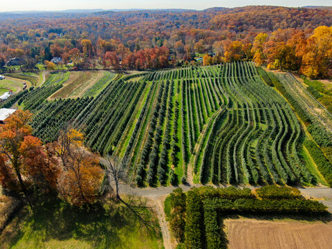 Aerial view of a farm in autumn