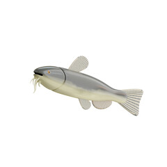 3d Catfish. icon isolated on white background. 3d rendering illustration