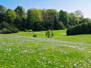 people walking in the park