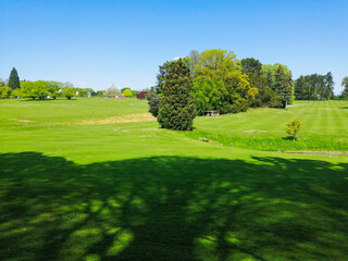 landscape with grass and trees