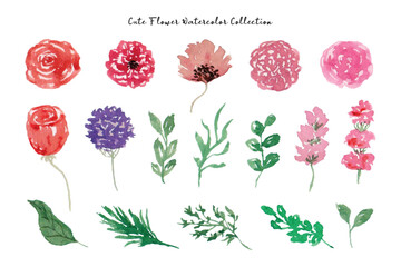 Beautiful Flower and Leaf Watercolor Collection