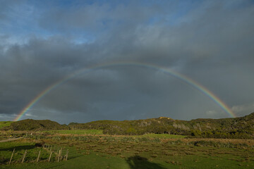 Fototapeta na wymiar ニュージーランド　ファラリキ・ビーチへと向かう道中で見えた虹