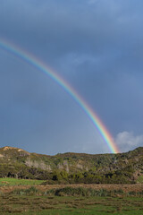ニュージーランド　ファラリキ・ビーチへと向かう道中で見えた虹