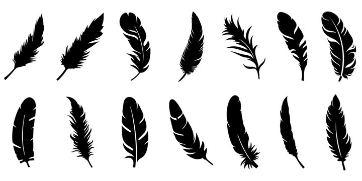 Feather icons. Set of black feather icons isolated. Feather silhouettes.