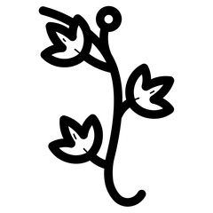 vine plant illustration