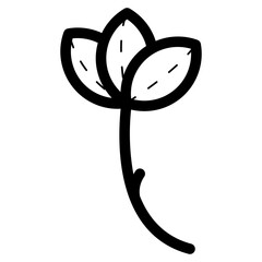 wild plant illustration
