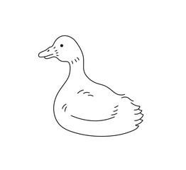 Vector isolated one single swimming duck side view colorless black and white contour line easy drawing