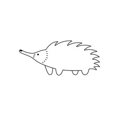 Vector isolated one single cute cartoon echidna hedgehog with long nose colorless black and white contour line easy drawing