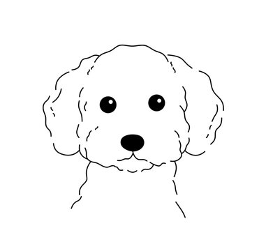 Vector isolated one single curly dog puppy head front view colorless black and white contour line easy drawing