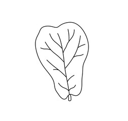Vector isolated one single simplest large big leaf  colorless black and white contour line easy drawing