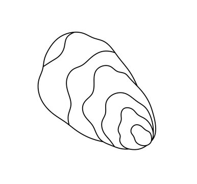 recommend clip art: Vector isolated one single oyster shell flap top view  colorless black and white contour line easy drawing