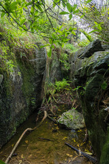 ニュージーランド　ゴールデン・ベイにあるラビリンス・ロックス Labyrinth Rocks