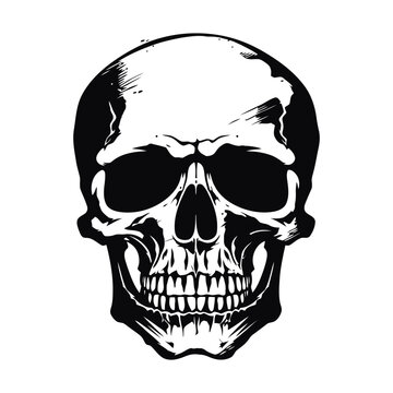 Human skull silhouette. Isolated image of black skull.