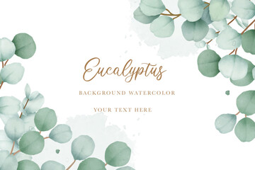  elegant eucalyptus leaves background design 