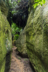 ニュージーランド　ゴールデン・ベイにあるラビリンス・ロックス Labyrinth Rocks