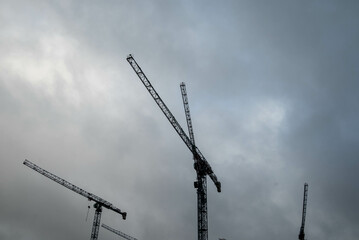 Obraz premium cranes on site