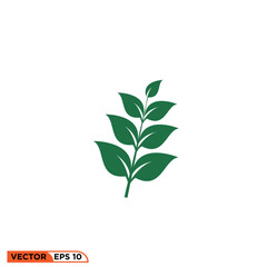 Plant twigs icon vector graphic of template 