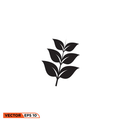 Plant twigs icon vector graphic of template 