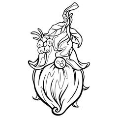 Gnome, black and white stripes on the white background Is a vector image Suitable for coloring Or general lines