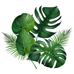 Tropical background with palm leaves and monstera leaf. Botanical background.