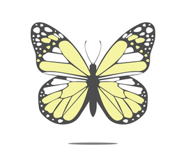 Yellow butterfly on white background, monarch butterfly vector