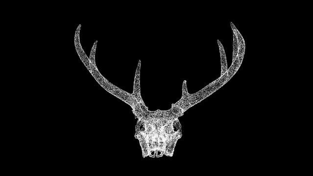 3D deer skull on black background. Object made of shimmering particles. Wild animals concept. Protection of the environment. For title, text, presentation. 3d animation.