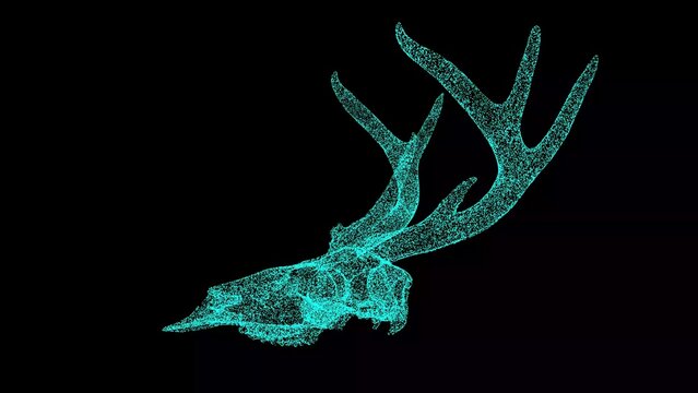3D deer skull on black background. Object made of shimmering particles. Wild animals concept. Protection of the environment. For title, text, presentation. 3d animation.
