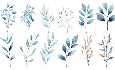 Naklejka premium collection of soft watercolor branches isolated on a transparent background, generative ai